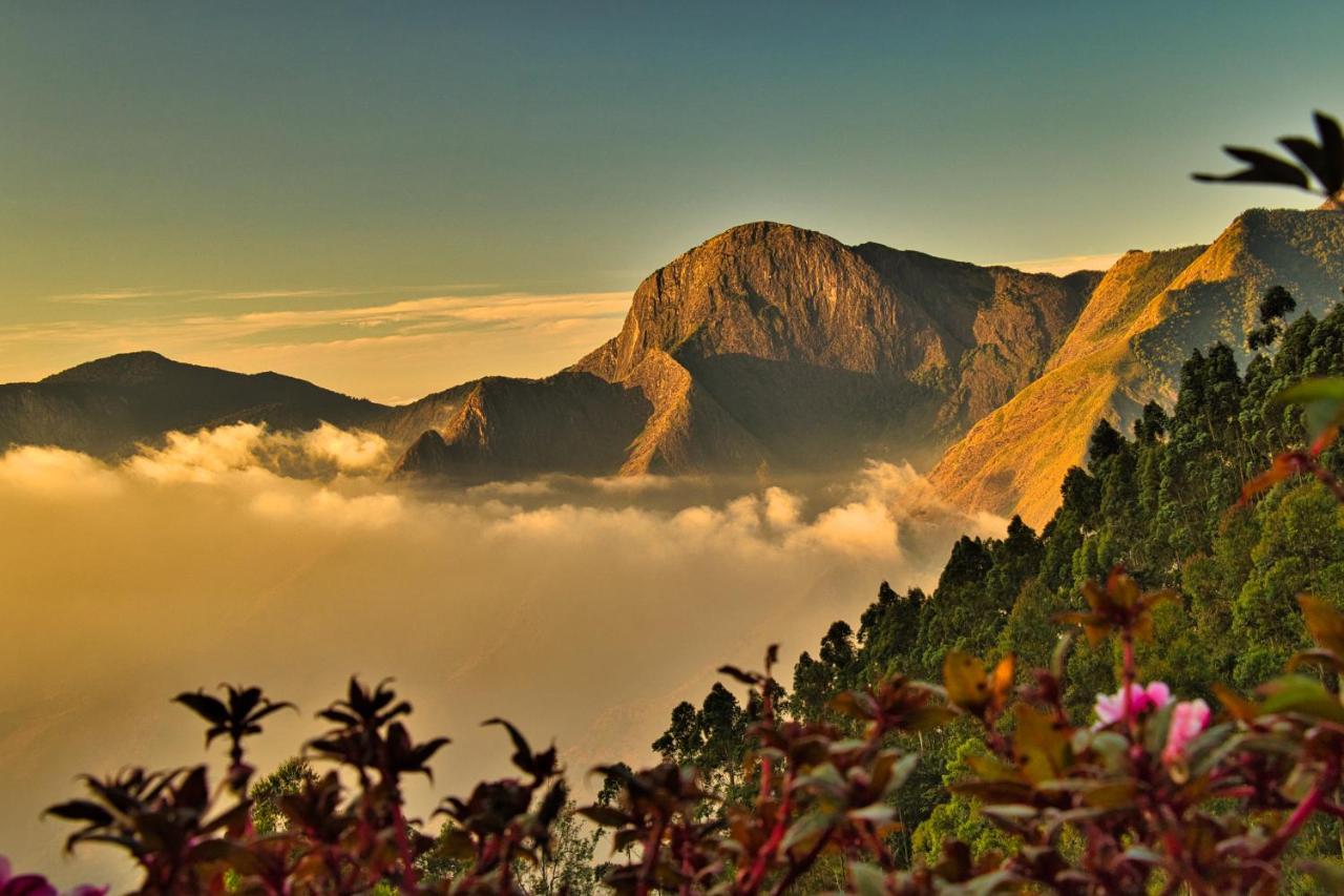 Chandys Drizzle Drops - Munnar Top Station 외부 사진