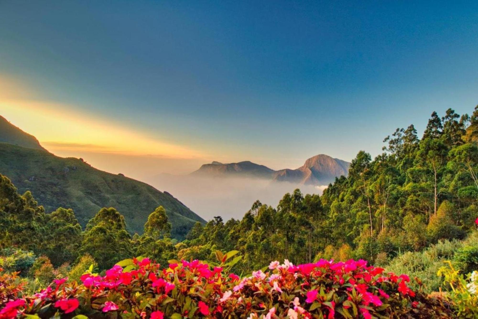 Chandys Drizzle Drops - Munnar Top Station 외부 사진